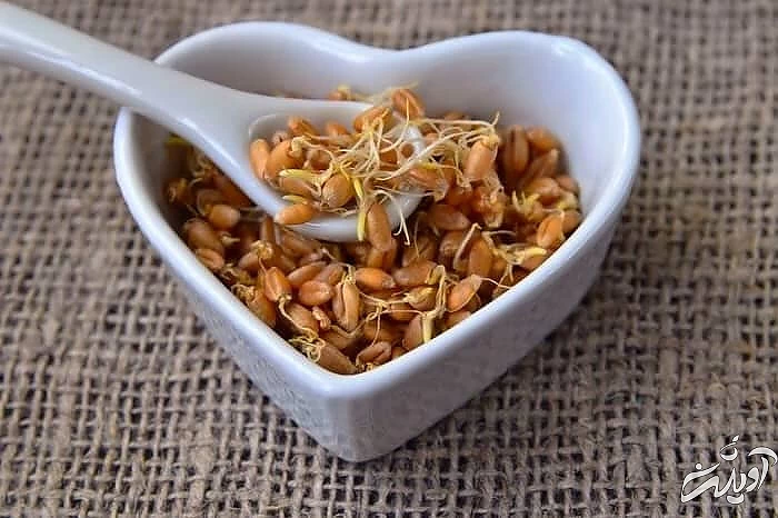 خواص جوانه گندم برای کودکان جوانه گندم